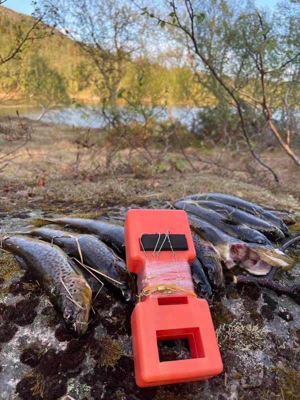  2 kpl taimensiima, 12 koukkua