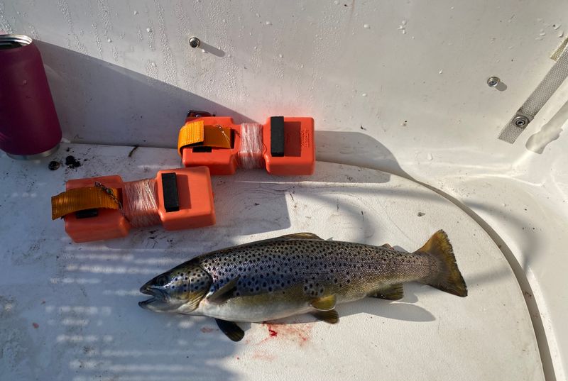 Autosett Small 3 kpl – automaattinen kalastus