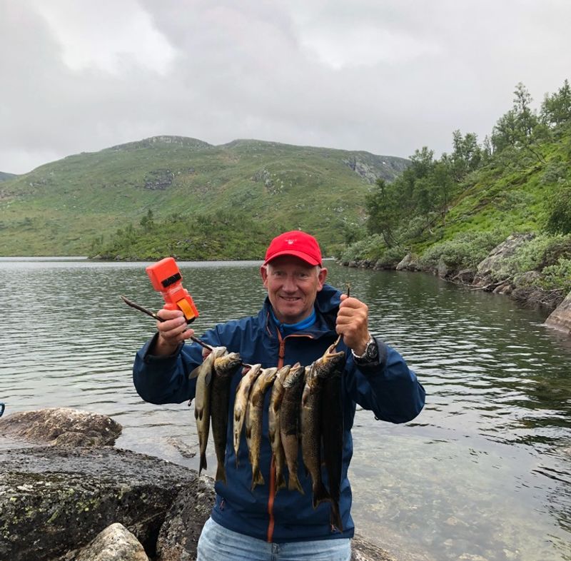 Autosett Small 3 kpl – automaattinen kalastus